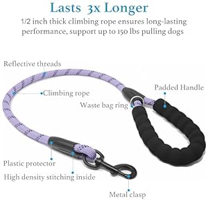   iYoShop-Dual-Dog-Leash-Double-Dog-Leash-360-Swivel-No-Tangle-Walking-Leash-Shock-Absorbing-Bungee-for-Two-Dogs-Large-25-150-lbs-Lavender