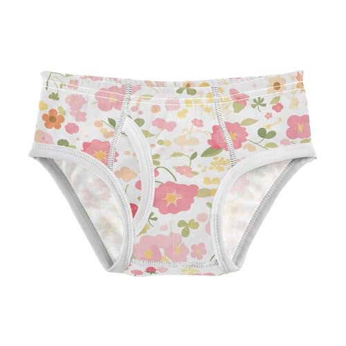 KLL Organic Garden Safari Strawberry Toddler Boys' Cotton Briefs Cute Children Panties - Main Image