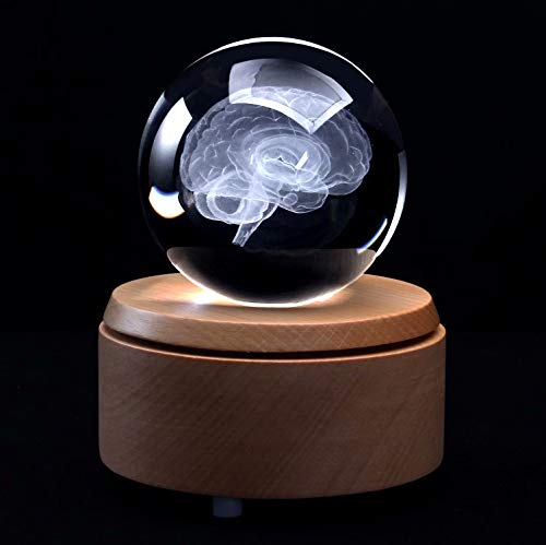Cerveau 3D laser gravé en cristal, cadeau scientifique original LED