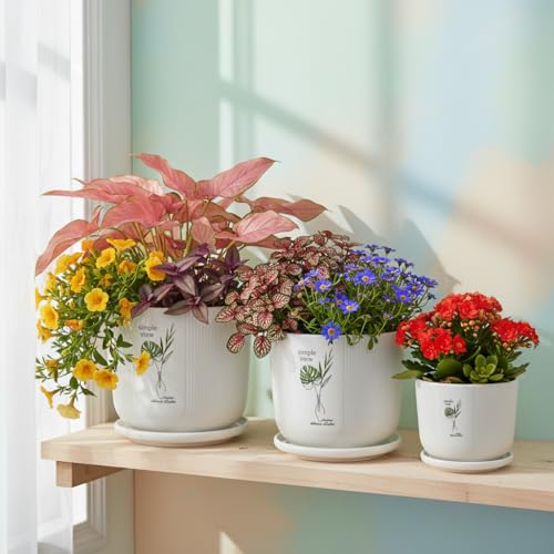 Image of Xtore Heritage Ceramic Planter Set with Drainage Trays | Pro-Decal Style Pots for Home & Balcony Decor - (Set of 3, White, Planter ONLY)