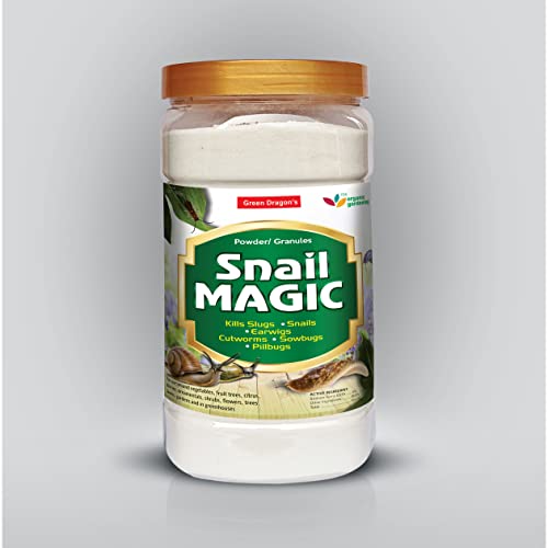 Green Dragon's Home Solutions | Natural & Organic | SNAIL MAGIC, ...
