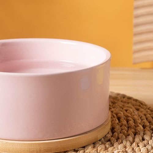 Liemuao Beheizter Katzennapf, 350 ml/600ml Haustier-Wassernapf-Heizung, beheizter Keramik-Wassernapf,USB-Lade-Wasserspender für Katzen, Hunde im Freien und drinnen (Weiß, 350ML)