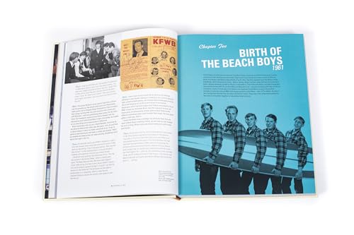 The Beach Boys vinyle album indispensable pour les collectionneurs - 4