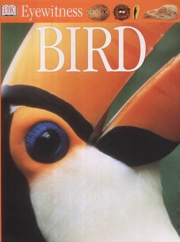 Bird Paperback – Big Book, 29 August 2002