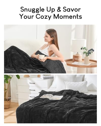 Image of Cottonblue Weighted Blanket 15lbs 80x87 Inches for Queen King Size Bed, Ultra Soft Sherpa Fleece Weighted Throw Blankets for Relax and Sleep, Cozy Breathable Winter Heavy Bed Blanket, Black