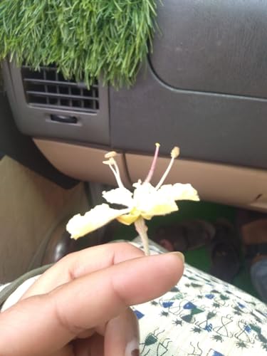 Episode Series 1 part