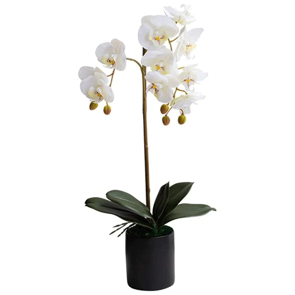 XDLEDMKIZ Orchid Artificial Flowers Potted Faux Orchids Lifelike Centerpiece Artificial Phalaenopsis Flowers for Home living Room office Artificial Flowers natural look