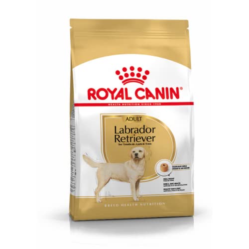 Image of Royal Canin Labrador Retriever, Dog Food, 3 Kg, Dry Food, Supports Ideal Weight, Healthy Skin & Coat, Promotes Bone and Joint Health