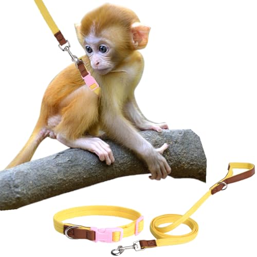 Image of Mini Monkey Leash, Adjustable Monkey Strap with Belly Bands and Matching Leash for Marmoset Monkey, Maximum Dimension 5.7 Inches for Monkey, Comfortable and Durable