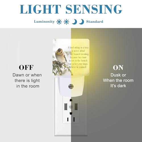 Image of Plug in Night Lights Inspirational Quote on Life Nightlight Plug Into Wall Dusk to Dawn Sensor LED Night Light for Kid Girls Boys Women Room Decor,Hallway,Kitchen,Bathroom,Nursery,Stairs
