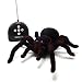 Tipmant 大きいサイズ4CH RCスパイダータランチュラ高いシミュレーションリモートラジオコントロール車電気玩具 - 黒