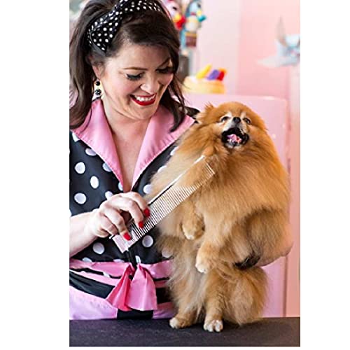 Image of Andis Professional Stainless Steel Pet Grooming Comb (25 cm)