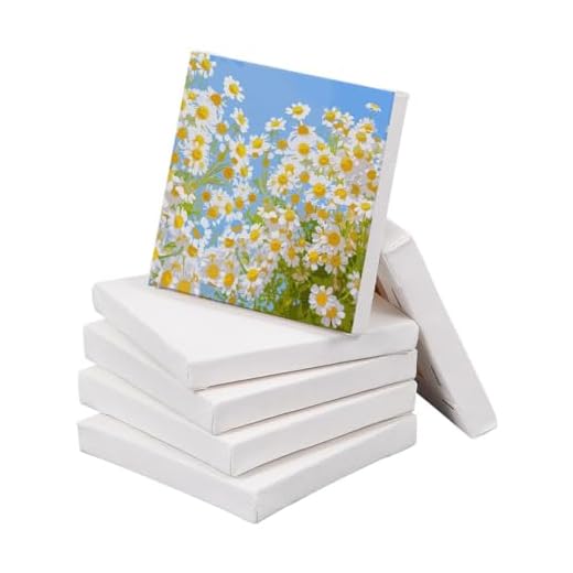 NBEADS Mini Lienzo, 6 Unidades 10x10cm Mini Panel Lienzo 280GSM 100% Algodón Sin ácido Pintura Canvas para Dibujar Decoración de Arte Y Regalo de Manualidades DIY