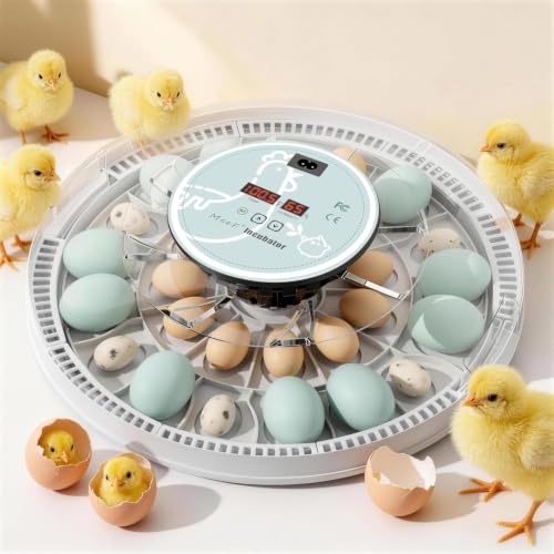 MeeF Egg Incubator for Hatching 28 Eggs Auto Flip Independent Atomizing Humidifier with Duck and Goose Egg Trays (Green)
