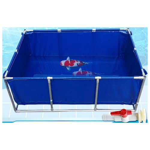 Genérico Piscina elevada de PVC Azul de 300 x 200 x 80 cm, Resistente, Ideal para Nadar, acuarios, estanques koi, acuicultura, Almacenamiento de líquidos y riego de Jardines. Una solución versátil pa