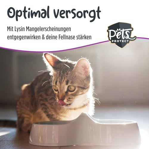 Pets Protect 100% reines LYSIN für Katzen & Hunde | 150 g Pulver hochdosiert | Deutsche Herstellung | Zur Vorbeugung & Unterstützung des Immunsystems | Bei Katzenschnupfen | Ohne künstl. Zusätze