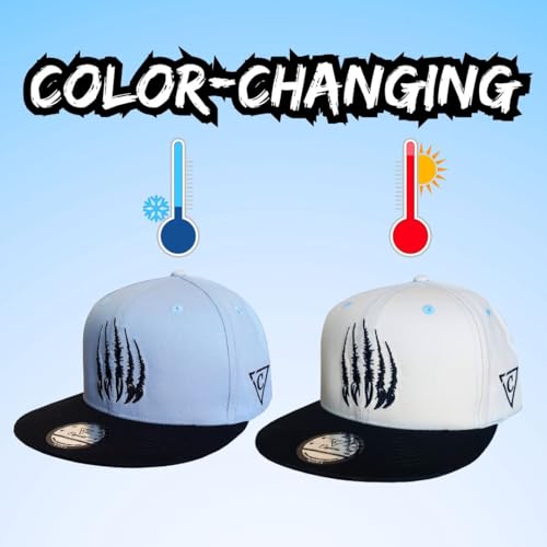 Image of Capiche [99+ Variations] Special Series Snapback Cap - One Size Unisex Men