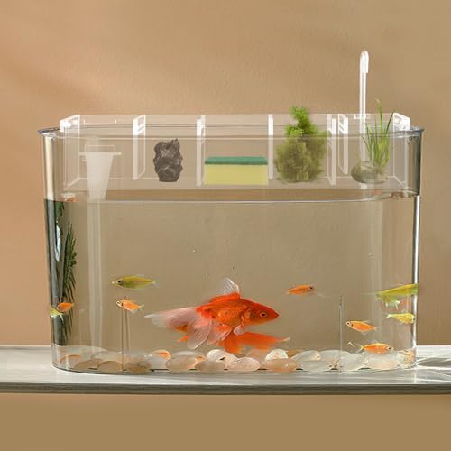 DOONARCES 5 Grids Acrylic Fish Tank Filter Box External Aquarium Water Filter Case Transparent Acrylic Hang On Filter Box Aquarium Accessory for Restaurant Home Hotel, Without Pump (5 Grids) - Thumbnail 4