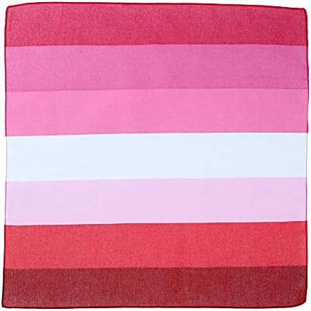CTM Striped Lesbian Pride Bandana image 4