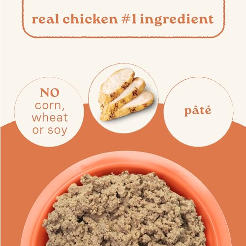 CANIDAE All Life Stages Dog Wet Food Made with Chicken & Rice, 13 oz by CANIDAE