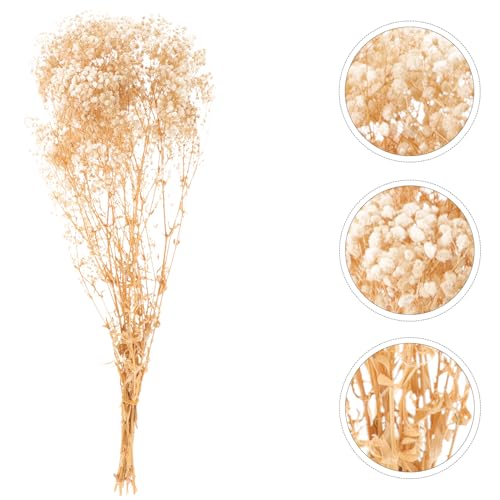 Ramo de Gypsophila Seco Beige 120g Decoración Floral miniatura 7
