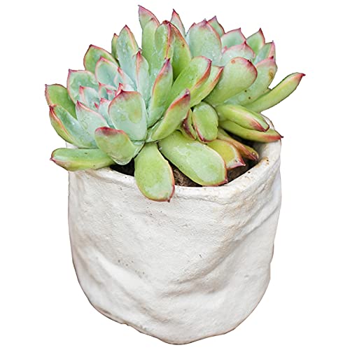 Blumentopf Balkon Weiße sukkulente Pflanzgefäßtöpfe, keramischer Innengarten-Garten-Topf mit Drainage für Pflanzen-Anlagen-Behälter für Wohnkultur (nicht einschließlich Anlagen) PflanzküBel AußEn
