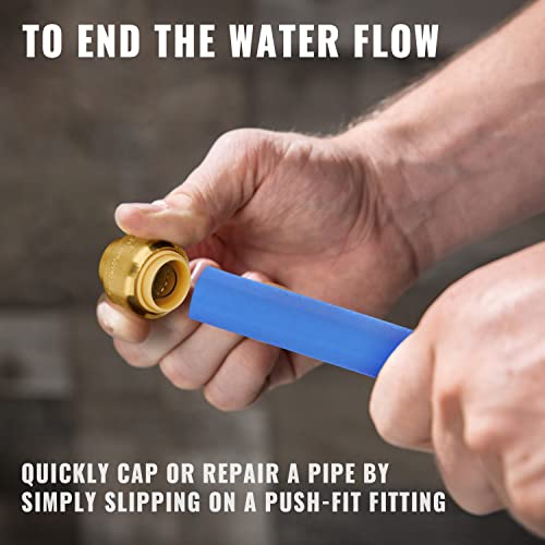 12Pack Push Fit End Cap, 3/4Inch PushtoConnect, No