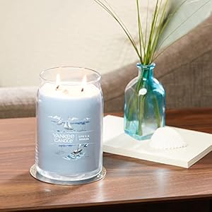 Yankee candle lifes a breeze scented signature 20oz large jar 2 wick candle over 60 hours of burn time  urban country home decor