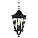 Feiss Cotswold Lane Outdoor Hanging Lantern - 21.5H in.