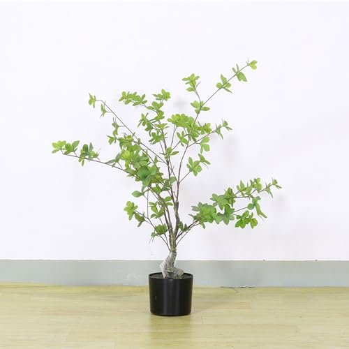 [LJKI] ^ ϗtA tFCNO[ A 60cm hE_ccW  ϗt   CeAO[ ~͐A Vv a m ItBX  ܂ lHϗA A A tFCNA Mtg v[g j