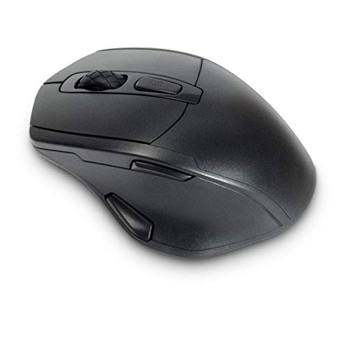 Inter-Tech ETERNO M-230 Souris Ergonomique sans Fil Noir