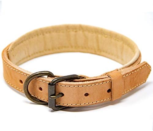 Logical Leather Leather Padded Dog Collar | 100% Genuine Full Grain Leather Dog Collar With Riveted Strap Ends & Premium Hardware | Brown | Small