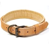 Logical Leather Padded Dog Collar - Best Full Grain Heavy Duty Genuine Leather Collar - Tan - Medium