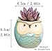 ROSE CREATE 6 Pcs 2.5 Inches Owl Pots, Little Ceramic Succulent Bonsai Pots with a Hole - Pack of 6