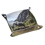 ❤Conception à quatre cornes : avec sa conception de boucle à quatre cornes, vous pouvez rapidement sécuriser le plateau en bouclant les coins. Non seulement il est fonctionnel, mais ajoute également un élément de décoration à votre espace, qu'il s'agisse d'un chevet, d'une armoire d'entrée, d'un bureau, d'une coiffeuse, d'un comptoir, d'une bibliothèque ou d'une salle de bain.