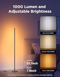 Govee RGBIC Floor Lamp Basic, 1000lm LED Corner Lamp, Black — photo 2 of 6