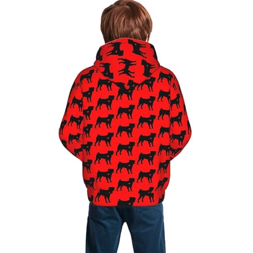 Pug Dog Boy, Girls Sports Shirt Youth Pullover Fashion Hooded Sweatshirt2