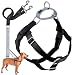 2 Hounds Design Freedom No-Pull Dog Harness and Leash, Adjustable Comfortable Control for Dog Walking, Made in USA (Large 1") (Black)