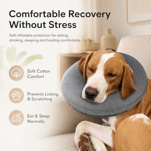 Image of MIDOG Inflatable Dog Cone, Soft Donut Recovery Collar Alternative After Surgery to Help Prevent Licking, Comfy E Collar with Neck Pillow Design, Grey, L