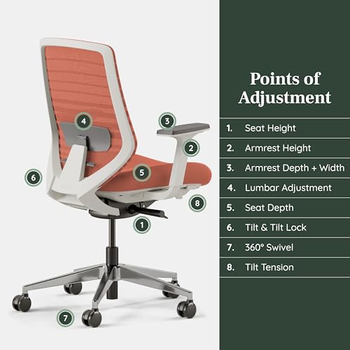 Branch Ergonomic Chair - A Versatile Desk Chair with Adjustable Lumbar Support, Breathable Mesh Backrest, and Smooth Wheels - Experience Optimal Comfort and Support - Poppy - Image 6
