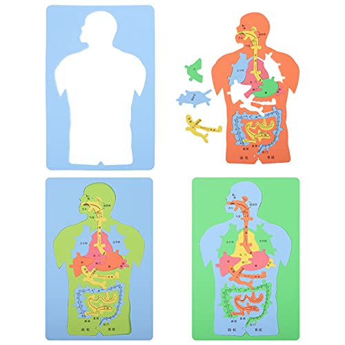 TOYMYTOY エヴァのジグソーパズル 3個人体システムパズルevaインタラクティブ 人体解剖学ジグソーパズル マップブロック 家族 オルガンパズル