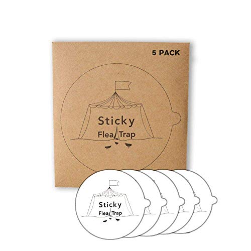 PowerRider Flea Trap Waterproof Non-Toxic No Insecticides Trap Killer Best Bug Trap Pest Control Home (Sticky Disk) - Thumbnail 6