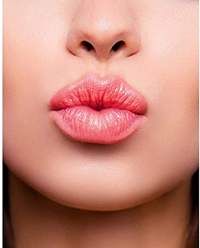 Image of Lip Balm Super Soft Multi Design Lip Balms, 6-Hour Hydration, Lip Care to Moisturize Dry Lips - Multi-Flavour Lip Balms, Pack of 3