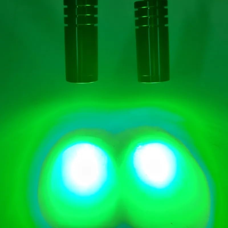 Microscope Clamp USB Dual Adjustable LED Spot Light Stereo Microscope Digital Camer(Green)