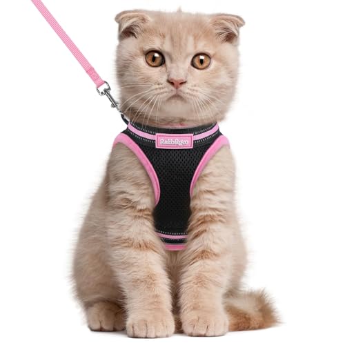 rabbitgoo Cat Harness and Leash Set for Walking Escape Proof, Adjustable Soft Kittens Vest with
