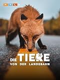 Tiere von der Landebahn, Die