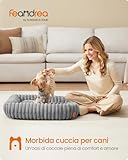 Zoom IMG-1 feandrea cuccia per cani di Zoom IMG-1 feandrea cuccia per cani di