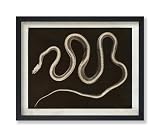 Monem Art Vintage Snake Poster - Retro X-Ray Snake Print - Serpent Art - Reptile Art - Gift for Him, Her, Animal Lover - Wall Decor for Bedroom, Living Room, Office - 8x10 UNFRAMED Wall Art -  Monem Art Studio