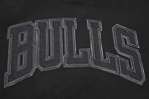 Image of Pro Standard Mens NBA Classic Pull Over Hoodie