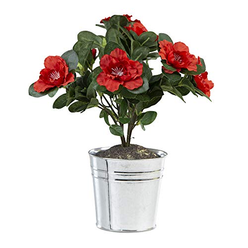 più Vicino 2 Natura HBC005RE vigneto Artificiale porro vegetali 105 cm